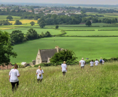 Walker heading through field towards Nailsea